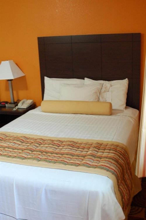 Budgetel Inn Glens Falls-Lake George-Saratoga image 7